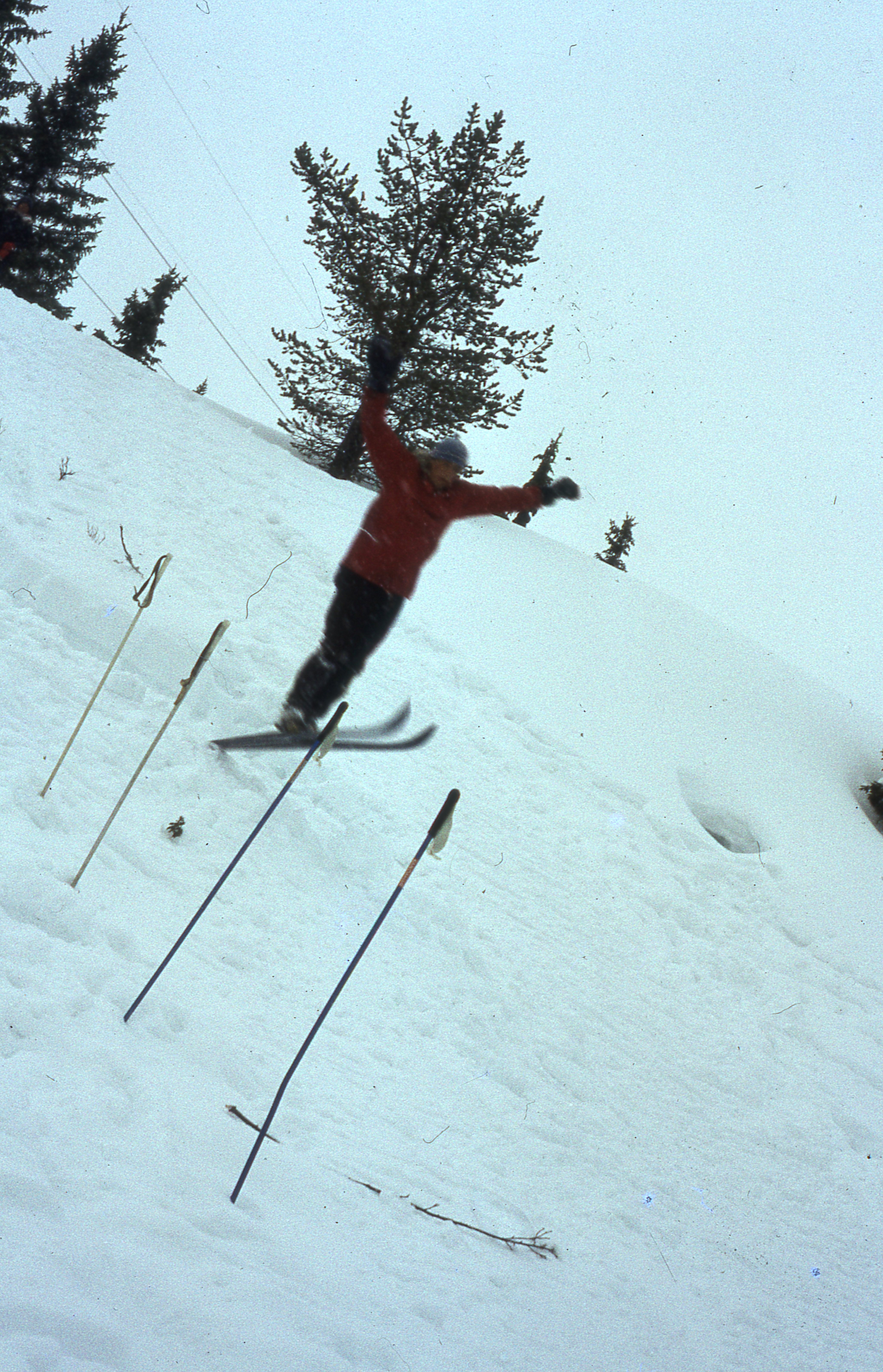 Skykula240
